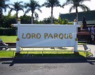 Loro Parque Teneriffa