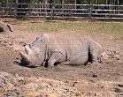 Tierpark Dortmund